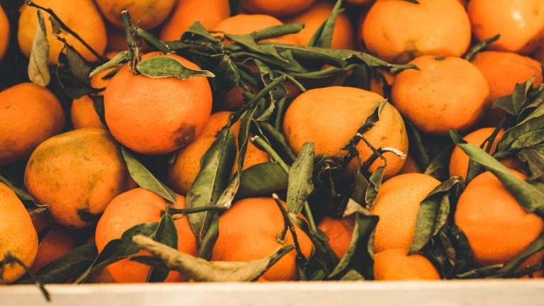 valencia spain delicious seasonal clementines 2021 08 30 12 33 18 utc(1)